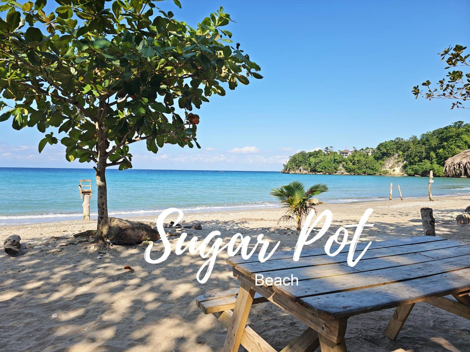 Chrisanns Paradise Suite By The Ocean - Apt#9 Ocho Rios Exterior foto